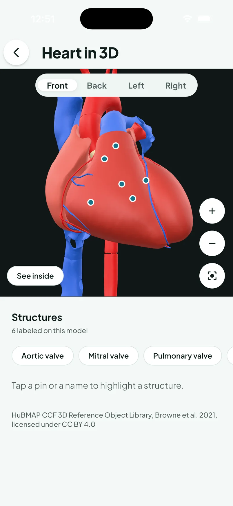 OmniRN iPhone app: Heart model in the organ viewer.